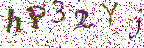 Obrázková CAPTCHA